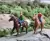Pack c/ 2 Figuras - Cavaleiros (87224) Dio Studios