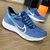 Nike Zoom Pegasus na internet