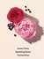 Bombshell Passion - Victoria's Secret na internet
