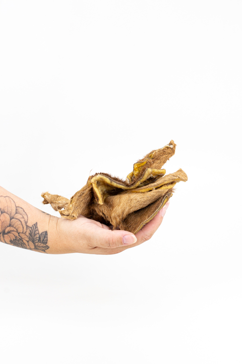 Pepitas de Gibão de Pele Bovina 100g - Opaparico - comprar online