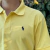 Chomba Oxford Polo Amarilla - Importados basics