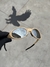 Eye Jacket Redux Piet Liquid Metal na internet