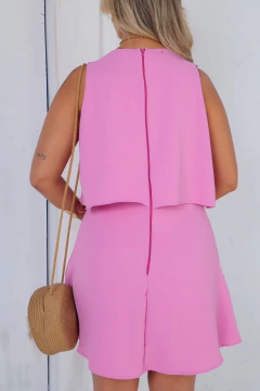 Macaquinho Sarah na internet