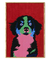 Quadro Border Collie