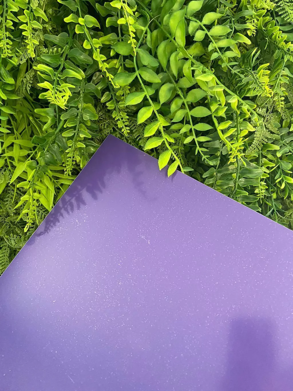 Chapa de acrílico 40x50cm - Roxo borboleta (2mm) (RX784)
