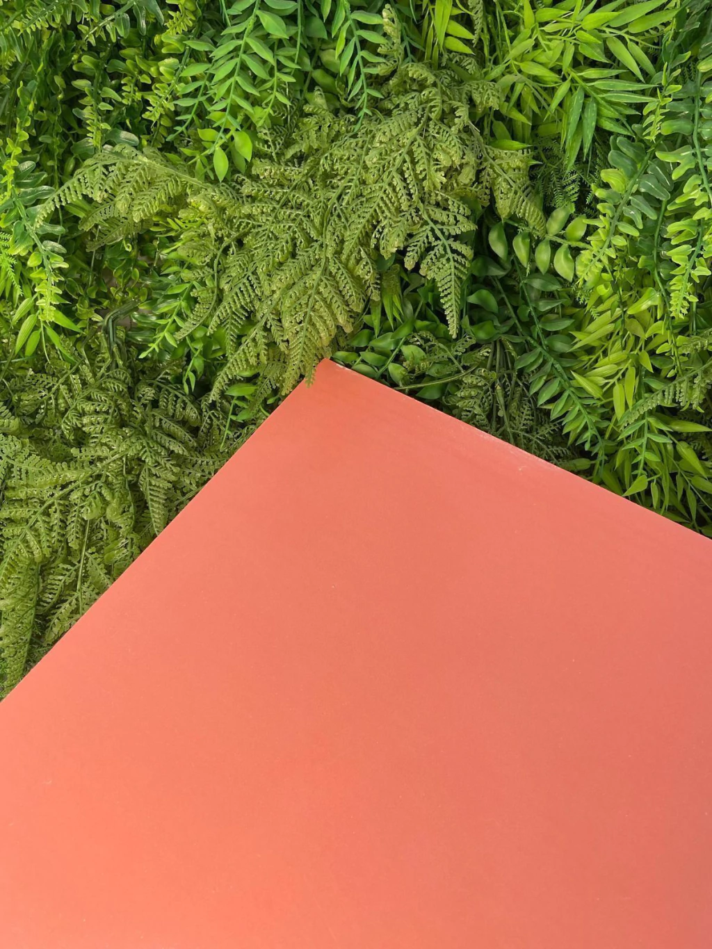 MDF CORAL BRILHO - 40x60cm 3mm