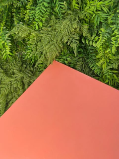MDF CORAL BRILHO - 40x60cm 3mm