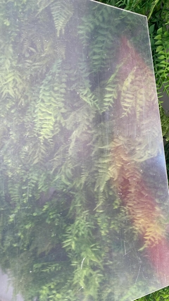 Chapa de acrílico 40x50 - Cristal (3mm)