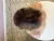 Wig Tina Fibra Americana Cor: Loira#60B - comprar online