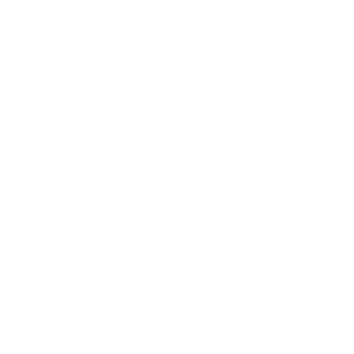 GLOBAL 360