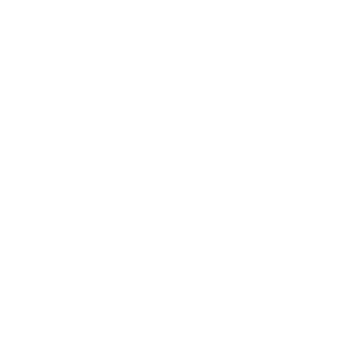 GLOBAL 360