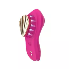 Vibrador de Calcinha com Cerdas e Imã