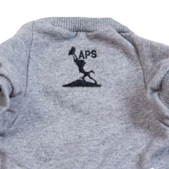 Buzo RAFI en internet