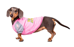 Buzo VAF Chicle - tienda online