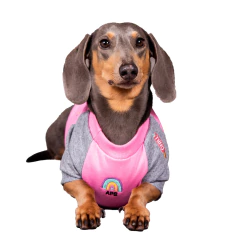 Imagen de Buzo VAF Chicle