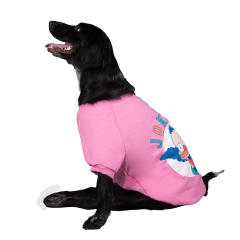 Buzo KRUSTY Chicle - comprar online