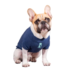 Buzo KRUSTY Azul - tienda online