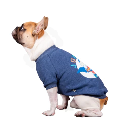 Imagen de Buzo KRUSTY Azul