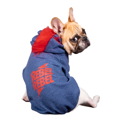 Buzo DOGWIE Azul