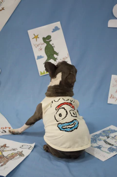 FORKY - A PATA SUELTA