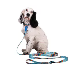 CORREA REGULABLE PRIDE en internet