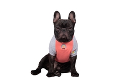 Buzo VAF Coral - tienda online