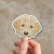 Cockapoo - FILIPA Stickers