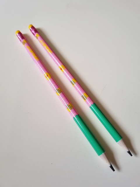 Lápis Flores e Abelhas Rosa