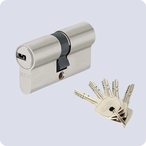 Cilindro D6N Abus llave multipunto 30x30 - comprar online
