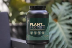 Plant Protein