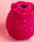 Rosa Sugadora na internet