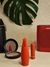 Tulipa Bullet - comprar online