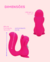 Imagem do Esquilo Vibrador