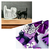Molde Halloween Gato Preto