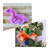 Molde dinossauro 4
