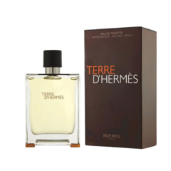 Perfume masculino Terre D’Hermès 100ml - comprar online
