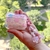 FUNDA PARA AIRPODS CLEAR - FLORES Y CORAZONES