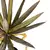PLANTA PINCHES 80cm - comprar online