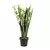 ORQUIDEA BARCO BLANCO 76cm