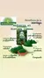 El Moringuero- Moringa (90 comprimidos) en internet