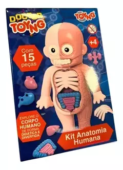 KIT ANATOMIA HUMANA COM BONECO DOCTOR 15 PECAS - TOYNG (AC) - 001768 na internet
