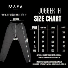 PANTALON JOGGER TH GRIS VISON en internet