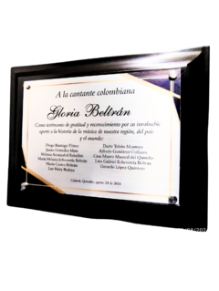 Placa reconocimiento M Pequeña