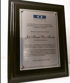 Placa reconocimiento M Grande - comprar online