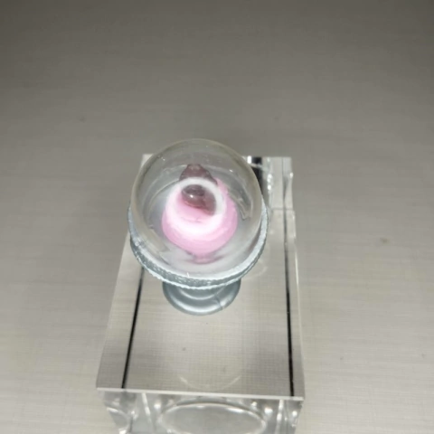 Bolo Boneca Holly O'Hair Sweet Coated Ever After High