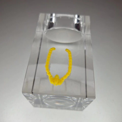 Colar Boneca Monster High Playset Catacumbas