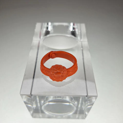 Cinto Boneca Skelita Calaveras Art Class Monster High Artes