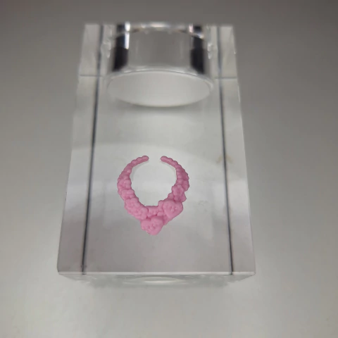 Colar Boneca Holly O'Hair Sugar Coated Ever After High