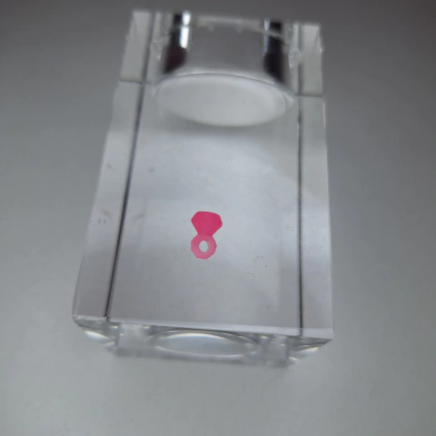 Anel Boneca Draculaura G3 Monster High