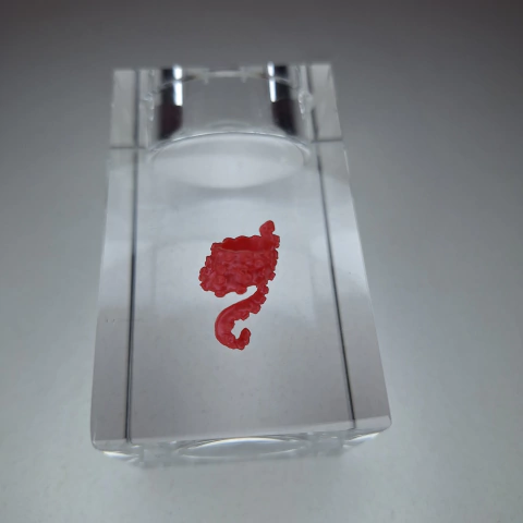 Pulseira Boneca Lagoona Blue G2 Dance The Fright Away Monster High